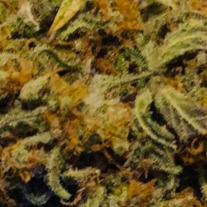 gggkggg1189's profile picture. 去年に去った出戻りです👮‍♂️👮‍♂️業販メインでどんどん卸していきますので🅿︎さんや🅿︎をやりたい方がいたらどんどん連絡ください😈✌️リスク回避のため初回郵送のみになります。二回目から近場の方や来てくれる方は直接会いましょう。