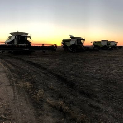 DightHenry's profile picture. Broad acre summer and winter cropping