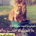 عبدالرحمن القبس (@algobs1373) Twitter profile photo عبدالرحمن القبس (@algobs1373) Twitter profile photo