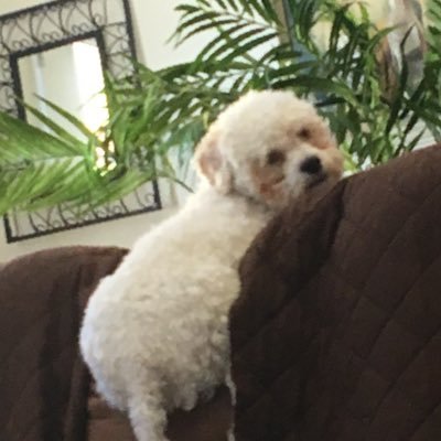 Jacquel76874720's profile picture. 