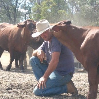 Grower of grain,breeds pure Santa Gertrudis and Brahman cattle. #redv RL