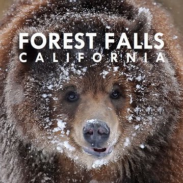 ForestFallsCA's profile picture. 