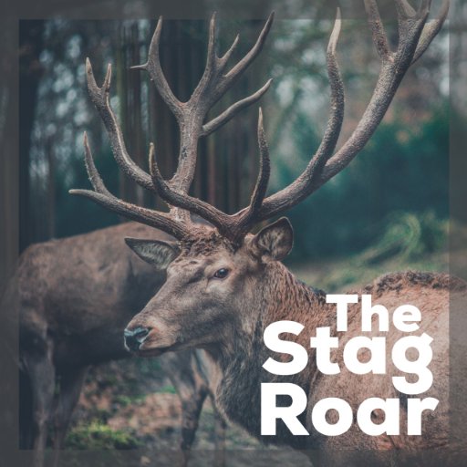 Invercargill NZ  Optometrist in Ballina NSW   Keen Outdoorsman   Rugby Player  Food Nut, The Stag Roar Podcast