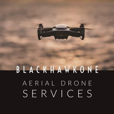 Aerial Drones Services