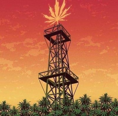 AdianNguyen's profile picture. 