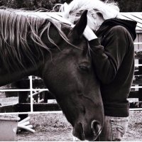 Project Horse (@projecthorseorg) 's Twitter Profile Photo Project Horse (@projecthorseorg) 's Twitter Profile Photo