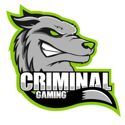 criminaL Gaming Profile