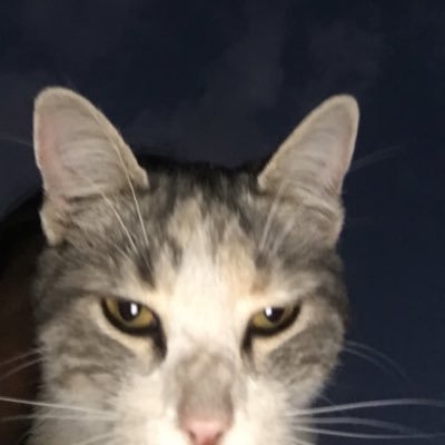 luestevez_'s profile picture. i’m you but stronger