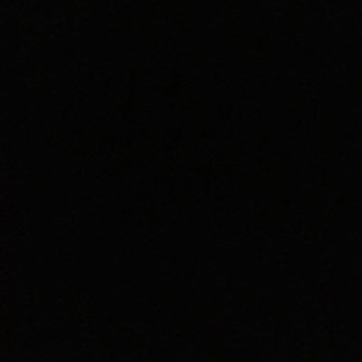 tadaima_kaett's profile picture. 