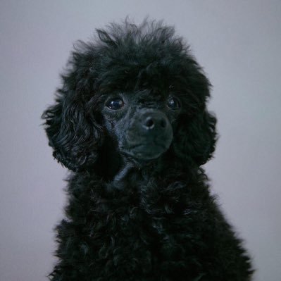 _andantete's profile picture. 