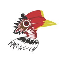 Rangkong Indonesia (@rangkongid) 's Twitter Profile