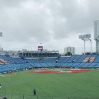 ☂Yui@つばめ党 (@yakult_swallow) 's Twitter Profile