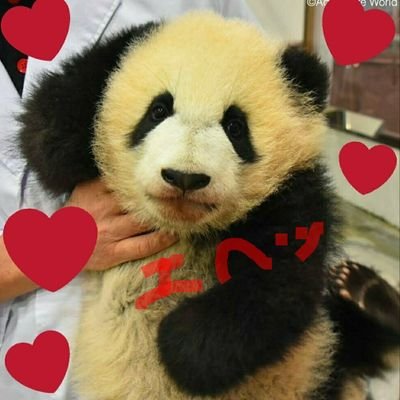 SachiyoSaccho's profile picture. 甲斐よしひろさんのﾌｧﾝ歴46年 時々ｵｯｶｹします🎵あの声がたまらない～(*´∇｀*)💕  GACKT💖様のﾗｲﾌﾞで燃え 中森明菜ちゃんのﾃﾞｨﾅｰｼｮｰで涙ぐみます 伊藤咲子さんのライブで感動💓パンダ大好き🐼❤️ 反町隆史さん.菊池風磨くんも💗 兼業農家🌾 無言フォローは嫌いです🙅