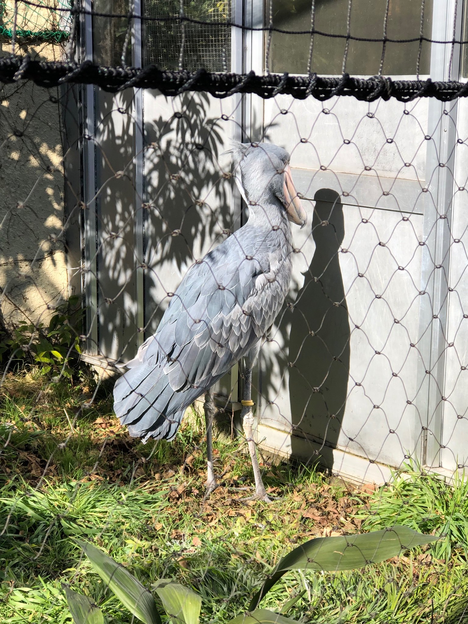 Uwnm8yrAI9SE4g9's profile picture. 