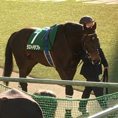 メインは中央競馬 展開.調教派.穴馬探し 鼻差 クビ差 タテ目が嫌いです‥3連単が好きです‥3連単がしばらく当たらないと馬連ワイドになります‥愛情馬券で当たると喜びます‥馬券が当たらないと不貞寝します‥2020年 愛情馬券カウンター【0.1.1.2】