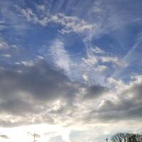 Peascroft (@rhsvcs) 's Twitter Profile Photo