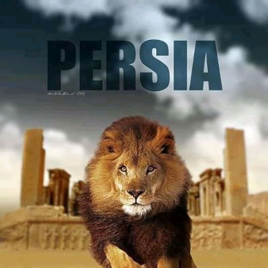 MoslemNorozi's profile picture. 