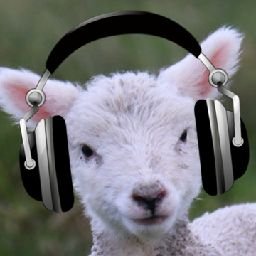 djlambton's profile picture. Sunderland / Eagles / Chess