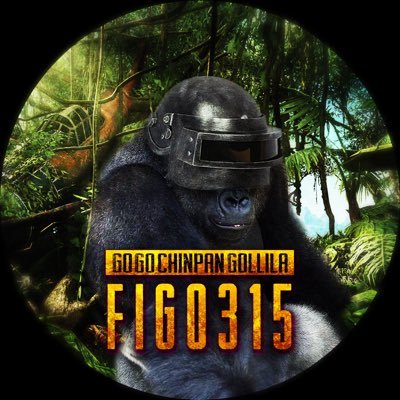 2023年1月現在やってるゲーム：AoE4🦍使用ゲーミングデバイス→https://t.co/ntyQSGY2NL🐒隠居中→Clash Royale :figo315 おばあちゃんのいえ所属🏡