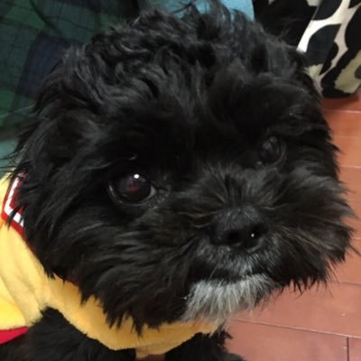 TzafH's profile picture. 外反母趾と腰痛に悩まされている。コミック・映画などなど"好き"を眺める垢