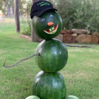 Terry O'Leary (@grow_dem_melons) 's Twitter Profile Photo Terry O'Leary (@grow_dem_melons) 's Twitter Profile Photo
