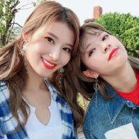 콩나물.🌱(@Yellow_beann) 's Twitter Profile Photo