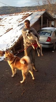 Sokak hayvanlarına yardim etmek amaci ve kedi köpek sahiplendirme ekibi