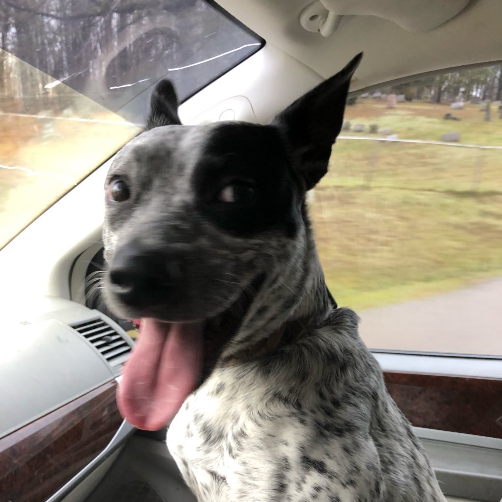 teenyharp's profile picture. 