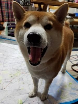 sara09001320's profile picture. 