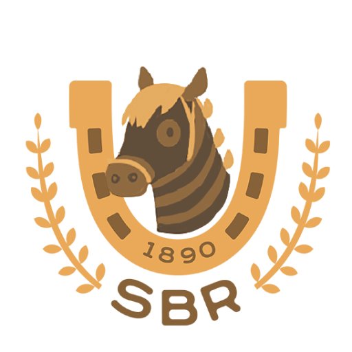 🏇2024년 9월 22일 일요일 열릴 죠죠의 기묘한 모험 7부 스틸 볼 런 교류회 계정입니다.🏇