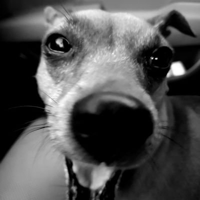 Matthew40611107's profile picture. everywhere at once