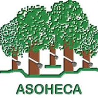 ASOHECA (@asoheca1996) 's Twitter Profile