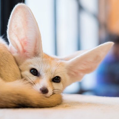 Tako_tdkr's profile picture. グッズショップ始めてみました！ @takozo_goods