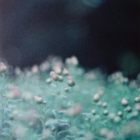 Chichic (ℂ𝕙𝕚 ) (@chichic) 's Twitter Profile