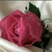 احمد فوزي (@8pbs2fr62eo7zoe) Twitter profile photo احمد فوزي (@8pbs2fr62eo7zoe) Twitter profile photo