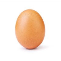 Egg Shell 88(@88_egg) 's Twitter Profile Photo