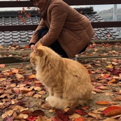 tsk9733's profile picture. 山口中学校➡︎宝塚西高校➡︎関西大学商学部