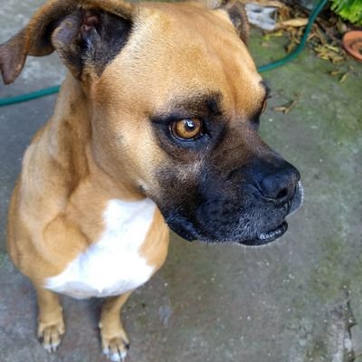 sabricoto21's profile picture. 嵐v^v^♥ ARASHI ≧△≦  is my world.  私の世界では、真実は真実だけが存在する場所です。 （私人）