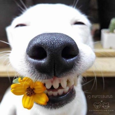 trafi_D's profile picture. 