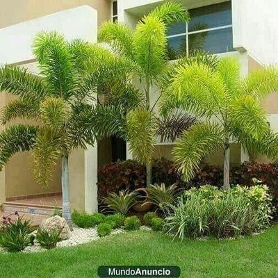 anwrbdry46's profile picture. 