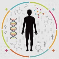 theyanglab (@yanglabcornell) 's Twitter Profile