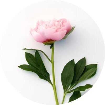 bant_oe's profile picture. 