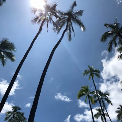 nataliaaaa513's profile picture. 