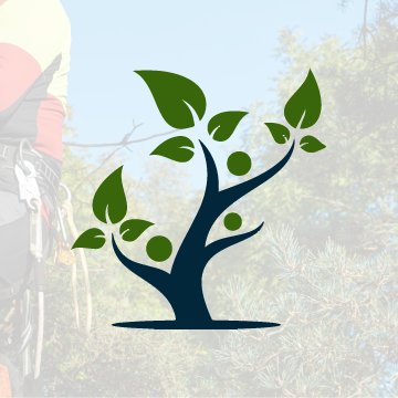 Henrys Tree Service of Arlington is a High Quality Tree Service Company in the Arlington, TX area.