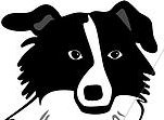 Like forest bathing. Dislike greenwashing. 

Collie owned.

Tweets: environment, politics.

@colliewobbled@mas.to