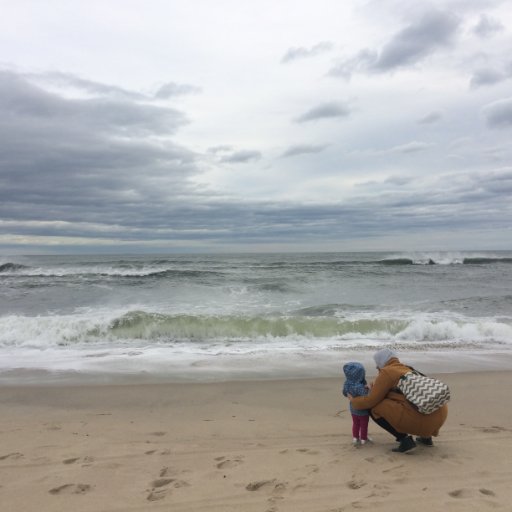 justlikeatree's profile picture. - - - - - - - - joy + justice - - - - - - - -