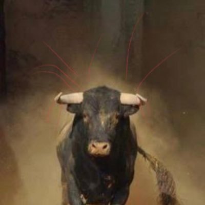 theBullRush19's profile picture. stocks ? 💵