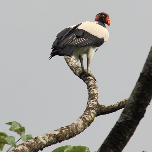 MikaartP's profile picture. 