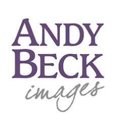 ImagesBeck Profile Picture