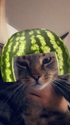 hej